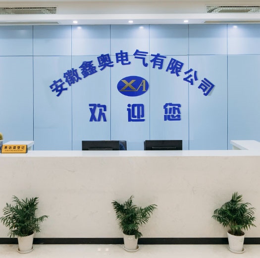安徽鑫奥电气有限公司